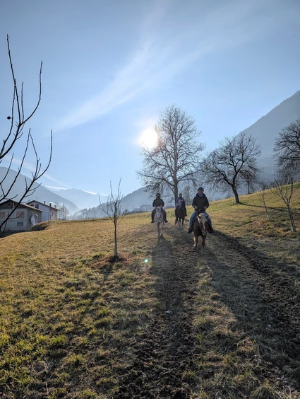 Passeggiata a cavallo con pranzo in rifugio 24 Passeggiata a cavallo con pranzo in rifugio 24